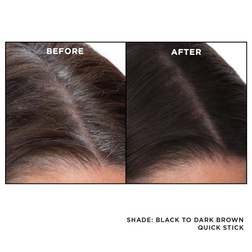 EVERPRO Gray Away Root Touchup Stick - Black/Dark Brown, 0.1 Oz