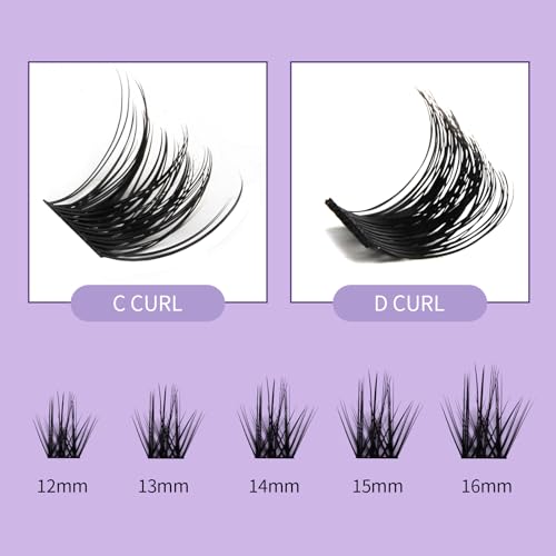 WENDY Lashes Clusters D Curl Lash Clusters DIY Eyelash Clusters 2 Styles 12-16mm Cluster Lashes Black Cluster Eyelash Extensions Wispy Individual Lashes At Home(Gorgeous/Bright-0.07D,12-16mm Mixed)