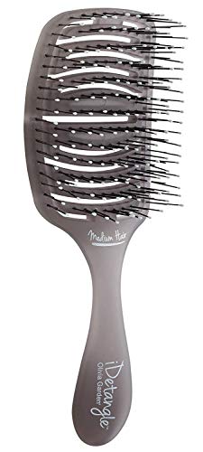 Olivia Garden iDetangle Brush for Wet & Dry Hair