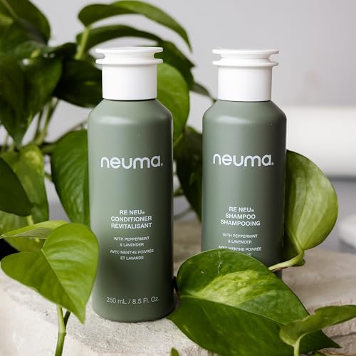 NEUMA Re Neu Shampoo 8.5 Fl. Oz. Revitalizing, Soothing & Gentle Cleansing Sulfate Free Shampoo, Peppermint & Vanilla Scent