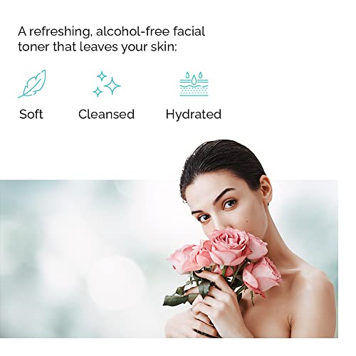 VITAMINS AND SEA BEAUTY Hydrating Facial Toner Mist with Sea Buckthorn + Rose, 8 fl oz