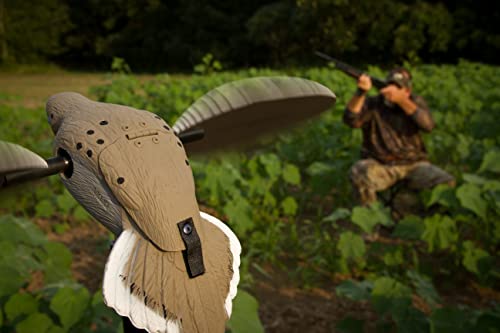 Mojo Outdoors Voodoo Dove Decoy - Motion Dove Decoy for Hunting, Multicolor