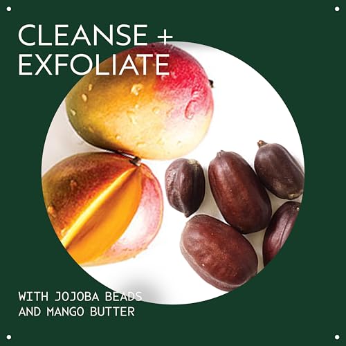 Aveda Botanical Kinetics Exfoliating Creme Cleanser | Increases Cell Turnover, Removes Skin-Dulling Surface Cells | with Mango Butter, 5 Fl Oz