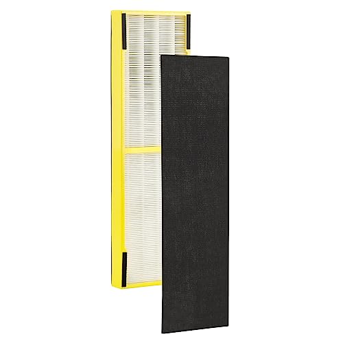 GermGuardian Filter B HEPA Pure Genuine Air Purifier Replacement Filter, Removes 99.97% of Pollutants for AC4825, AC4300, AC4900, AC4825DLX, AC4850, CDAP4500, AP2200, Black/Yellow, FLT4825