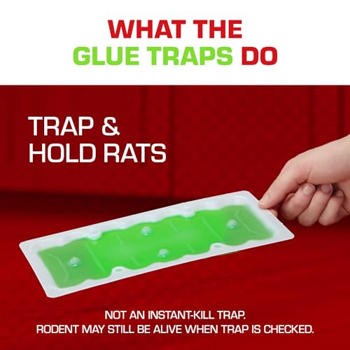 Tomcat Super Hold Glue Traps Mouse Size for Mice, Cockroaches, Spiders, and Scorpions, Ready-To-Use, 4 Traps