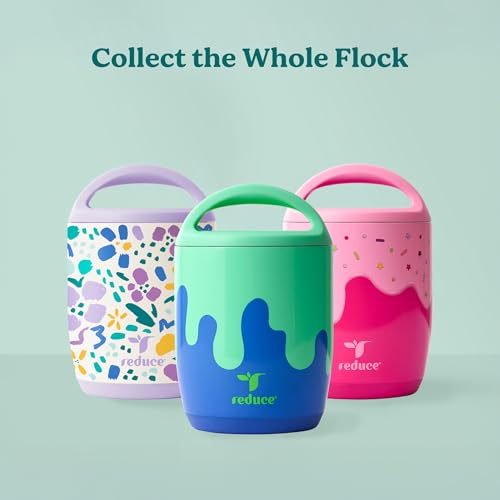 Foodee 10oz Insulated Food Storage Container - Abstract Flowers
