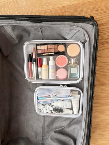 Clear Hard Shell Zipper Storage Cases Set (S+M)