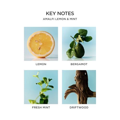 NEST New York Liquid Soap, Amalfi Lemon & Mint - 10 fl oz - Cleanses & Nourishes Skin - Approx. 300 Pumps Per Bottle - Gluten Free & Cruelty Free (Pack of 2)