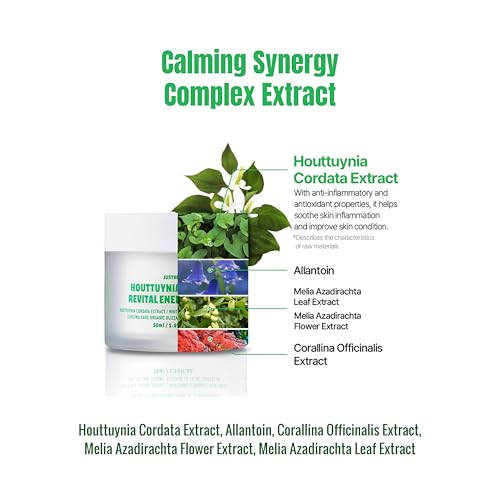 Houttuynia Cordata Revital Energy Cream/Hydrating Face Moisturizer for Dry, Sensitive Skin, Korean Skincare for Men and Women (50ml / 1.09 fl oz)
