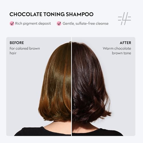 FOUR REASONS Chocolate Brown Color Depositing Shampoo 8.45oz