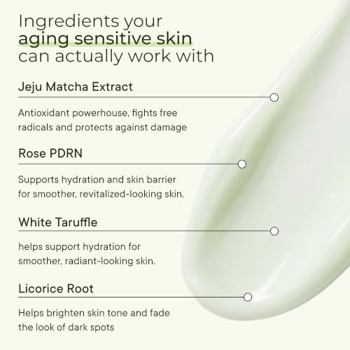 VELVENTE Matcha PDRN Anti-Aging Moisturizer & Dark Spot Cream - 3.53oz