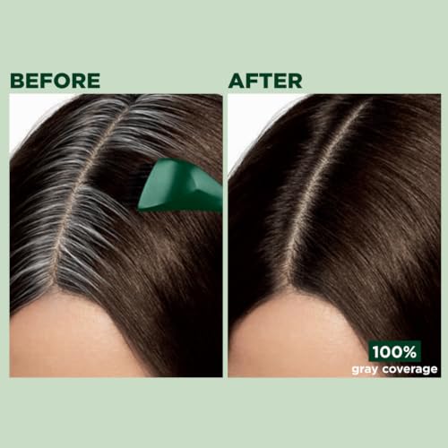 Clairol Root Touch-Up Natural Instincts Black Hair Dye