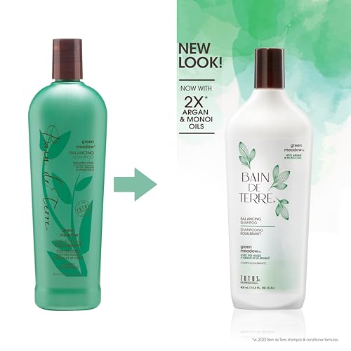 Bain de Terre Green Meadow Balancing Conditioner, Gentle Moisture Balance for Soft, Silky & Bouncy Hair with Argan & Monoi Oils, Paraben-free, Color-Safe, Vegan (2 sizes)
