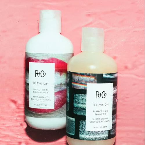 R+Co Television Perfect Shampoo + Conditioner Travel Set | Smooths, Adds Shine & Volume | Vegan & Cruelty-Free | TSA Approved | 2oz (Pack of 2)