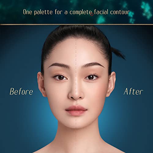 FLORASIS Constellation Floral Engraving Contour Makeup Palette (01