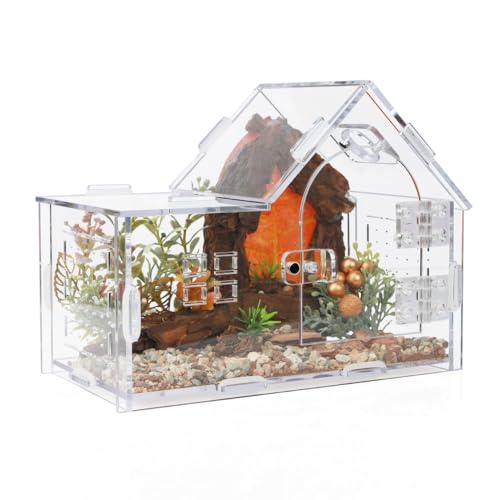 Acrylic Jumping Spider Enclosure House-Shaped Terrarium - Transparent, Breeding-Only Version