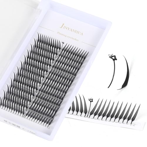 Anime Spire Lashes Premade Fans 10mm C Curl Eyelash Extensions