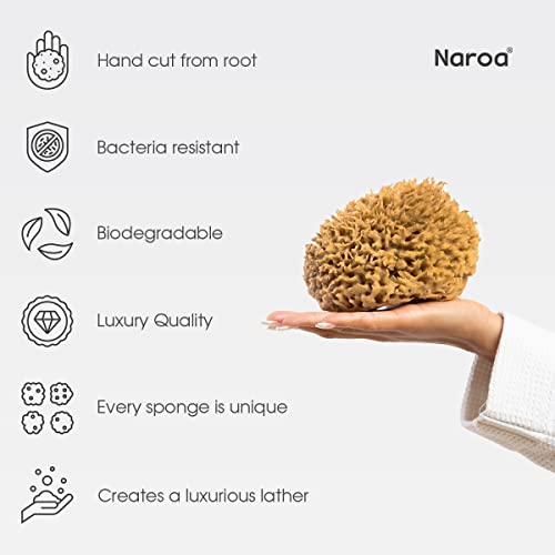 Naroa Soft Natural Sponge | Gentle Sea Sponge for Bathing Healthy Skin | Unbleached Shower Body Scrubber Puff | Eco Friendly Bath Spa Sponge (Soft - Medium)