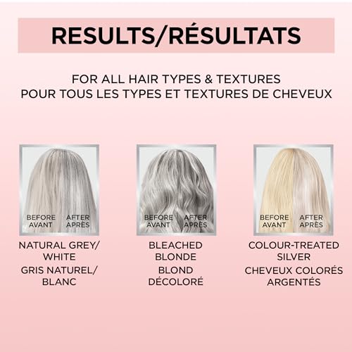 L'Oreal Paris Le Color Gloss Silver Toning Hair 4oz (Pack of 2)