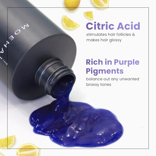 MOEHAIR Purple Toner for Silver & Gray Hair, 12 Fl Oz