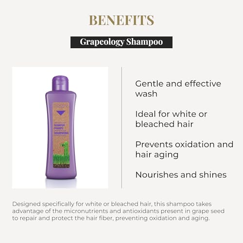 Original Sprout Tahitian Conditioner for Color-Treated Hair, Vegan, 8 oz. Bottle