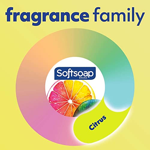 Softsoap Antibacterial Liquid Hand Soap, Fresh Citrus Scent Hand Soap, 11.25 Ounce, 6 Pack