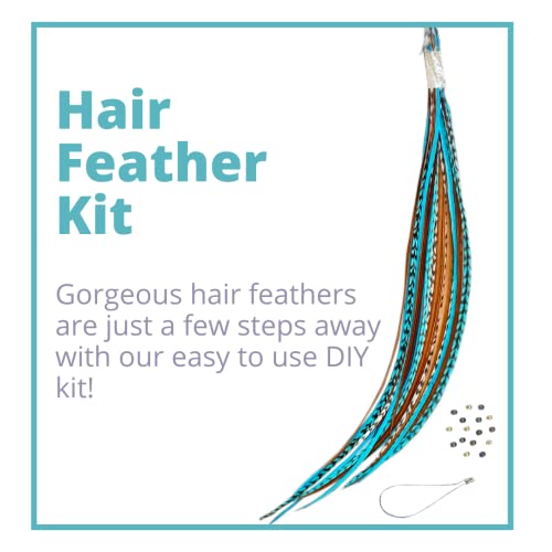 Feather Hair Extensions, 100% Real Rooster Hair Feathers, Long Natural and Turquoise Blue Colors, 20 Feathers with Beads and Loop Tool Kit NBT