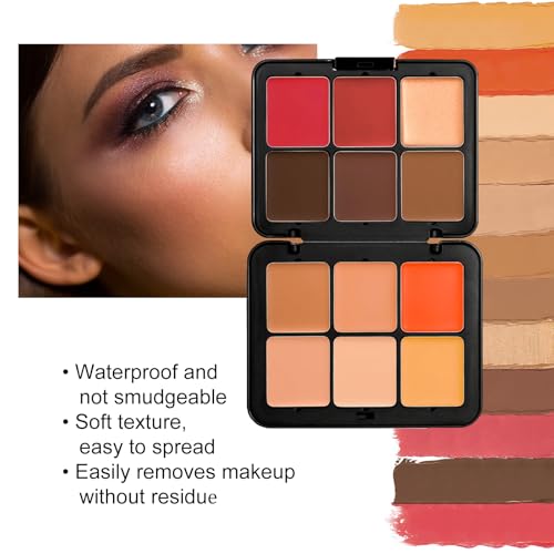 FantasyDay 12 Color Full Coverage Concealer Palette & 11 Brush Set