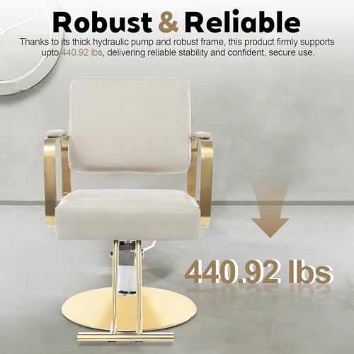 Professional Barber Chair 440lbs Weight Capacity Hydraulic Salon Chair