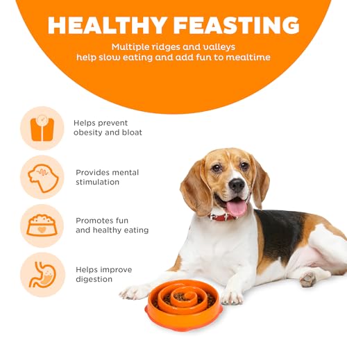 Outward Hound Fun Feeder Slow Bowl in Orange Plastic for Dogs