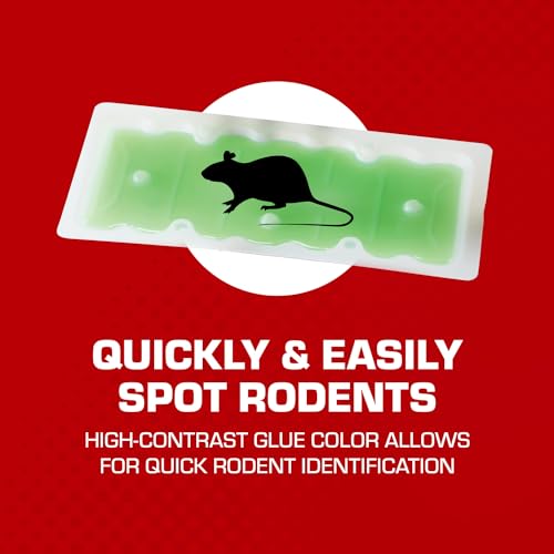 Tomcat Super Hold Glue Traps Mouse Size for Mice, Cockroaches, Spiders, and Scorpions, Ready-To-Use, 4 Traps