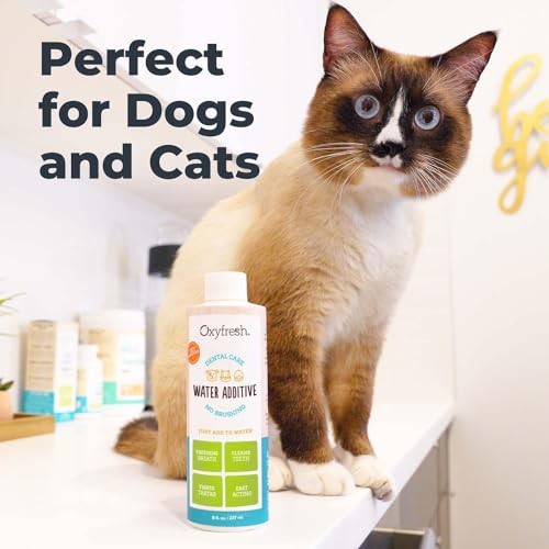 Oxyfresh Premium Pet Dental Care Solution Pet Water Additive: Best Way to Eliminate Bad Dog Breath and Cat Bad Breath - Fights Tartar & Plaque - So Easy, Just Add to Water! Vet Recommended 16 oz.