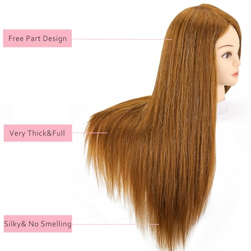 80% Human Hair Mannequin Head 26-28" Cosmetology Training