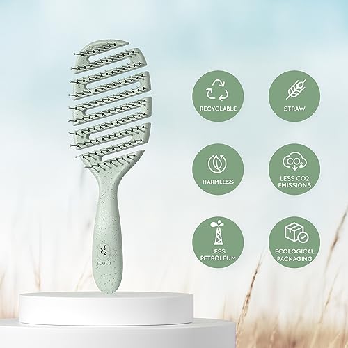 Detangler Hairbrush, Soft Bristle Detangling Brush for Straight, Wavy, Curly and Fine Hair, Dry and Wet, Quick Smoothing for Women and Men, Eco-Friendly & Sustainable Material (Green)