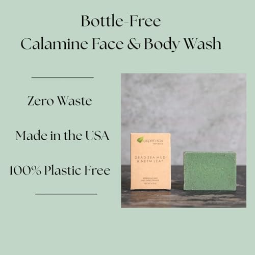 Aspen Kay Naturals Dead Sea Mud and Neem Soap - With Organic Shea Butter & Olive Oil. A Wonderful Neem Face Wash for all Skin Types. Handmade Soap - Made in USA. (2 pack)