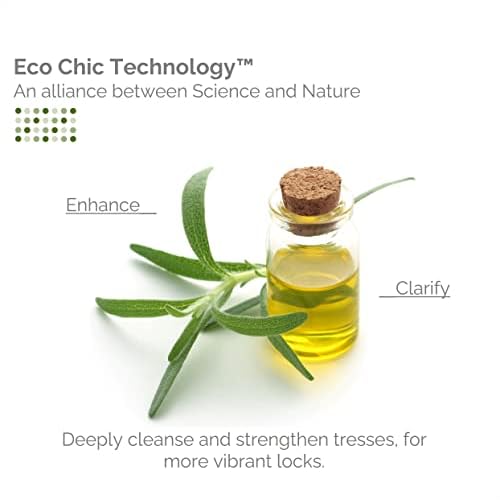 GIOVANNI Eco Chic Root 66 Max Volume Spray, 8.5 oz. - For Fine Lifeless Hair, Pro-Vitamin B5, Horsetail Extract, Sea Salt, Kiwi, Lauryl & Laureth Sulfate Free, No Parabens, Color Safe