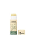 The Earthling Co. Lip Balm - Natural, Organic, Mint Lip Care - Non-tinted, Bee-free, Moisturizing Treatment Stick with Pomegranate Sterols, Coconut, and Butters (Peppermint, 0.33 oz)