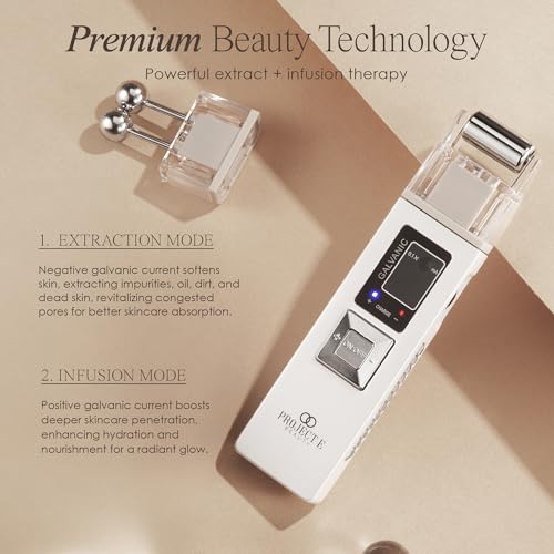 Project E Beauty Portable Rechargeable Galvanic Device | Skin Care Reduce Wrinkles Skin Tightening Firming Fine Lines Desincrustation Deep Pore Cleansing Rejuvenation Device