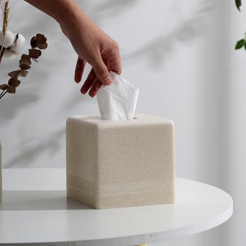 Resin Tissue Box Cover - Square Cube Holder for Home & Office