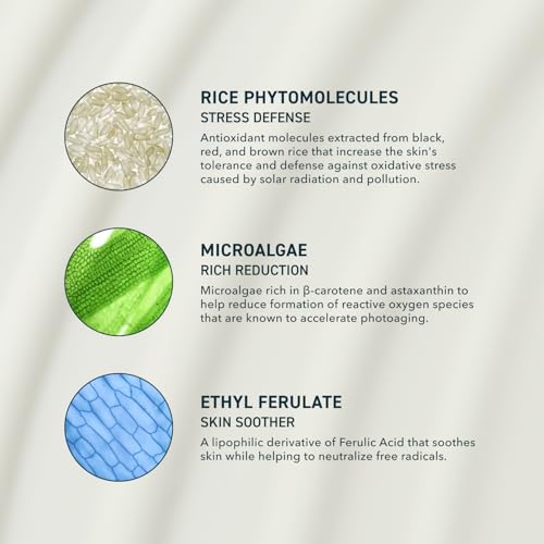 Prequel Skin Solar Shade - Moisturizing Face Sunscreen SPF 46 PA++++ Broad Spectrum UV Protection. Hydrating Sunblock for Dry Skin. Lightweight Travel Size Sun Protection, 1.7oz (Pack of 2)