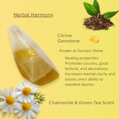 Rock Soap Set of 2- Gemstone Soaps with Real Crystals Inside- Decorative Crystal Soap with Natural Ingredients & Essential Oil- Moisturizing & Herbal Scented Fancy Gift for Women