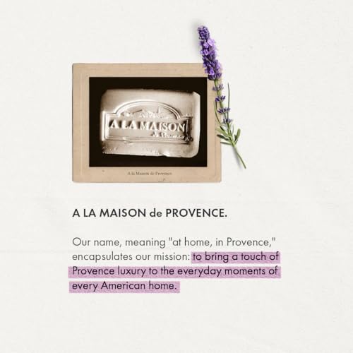 A LA MAISON French Liquid Hand Soap RefilL - Natural Hand Wash Made with Essential Oils - Biodegradable, Plant-Based, Vegan, Cruelty-Free (33.8 Fl Oz Pouch (2 Pack), Lavender Aloe)
