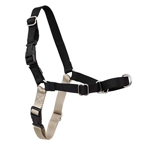 PetSafe Easy Walk No-Pull Dog Harness - The Ultimate Harness to Help Stop Pulling - Take Control & Teach Better Leash Manners - Helps Prevent Pets Pulling on Walks, X-Large, Black/Silver