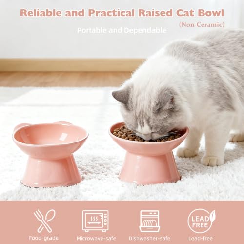 KSIA Pink Elevated Cat Bowls 2 Pack - Tilted, Whisker Friendly, Anti-Vomiting, Dishwasher Safe
