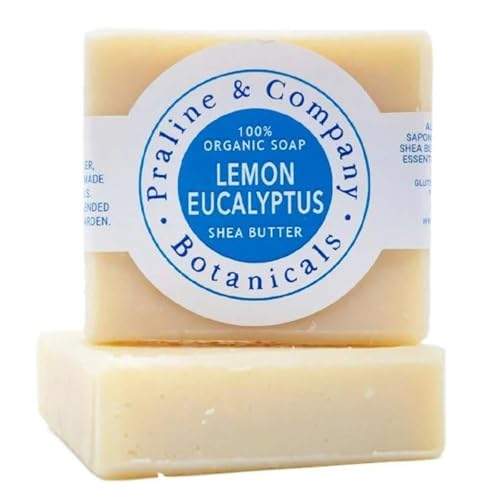 Organic Handmade Lemon-Eucalyptus Bath and Hand Soap for Oily Skin - Bath Soap with Gentle Creamy Moisturizing Foam - Organic Hand Soap with 100% Organic Ingredients - 4oz / 110gr