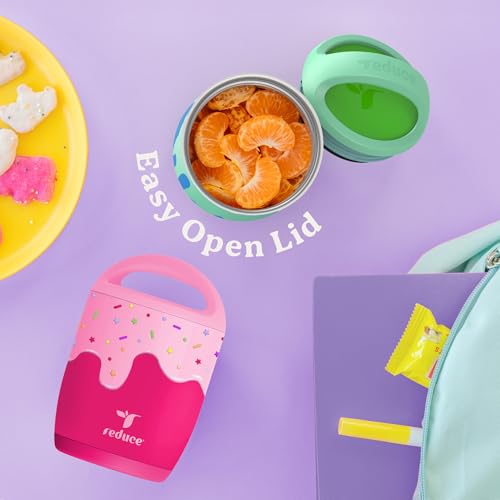 Foodee 10oz Insulated Food Storage Container - Abstract Flowers