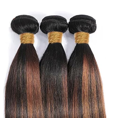 Fridnae Light Brown P1B30 Straight Human Hair Bundles 12-34 Inch, 3-Pack