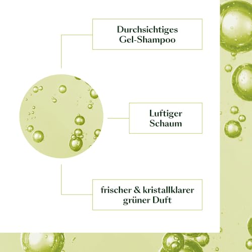 Rene Furterer VOLUMEA Volumizing Shampoo - For Fine, Limp Hair - Thickening & Volumizing - SLS Free