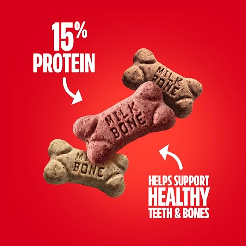 Milk-Bone Flavor Snacks Mini Dog Biscuits, 36 oz Canister