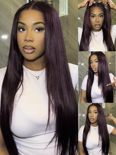 Black Cherry Layered Straight Human Hair Glueless Wig 18in